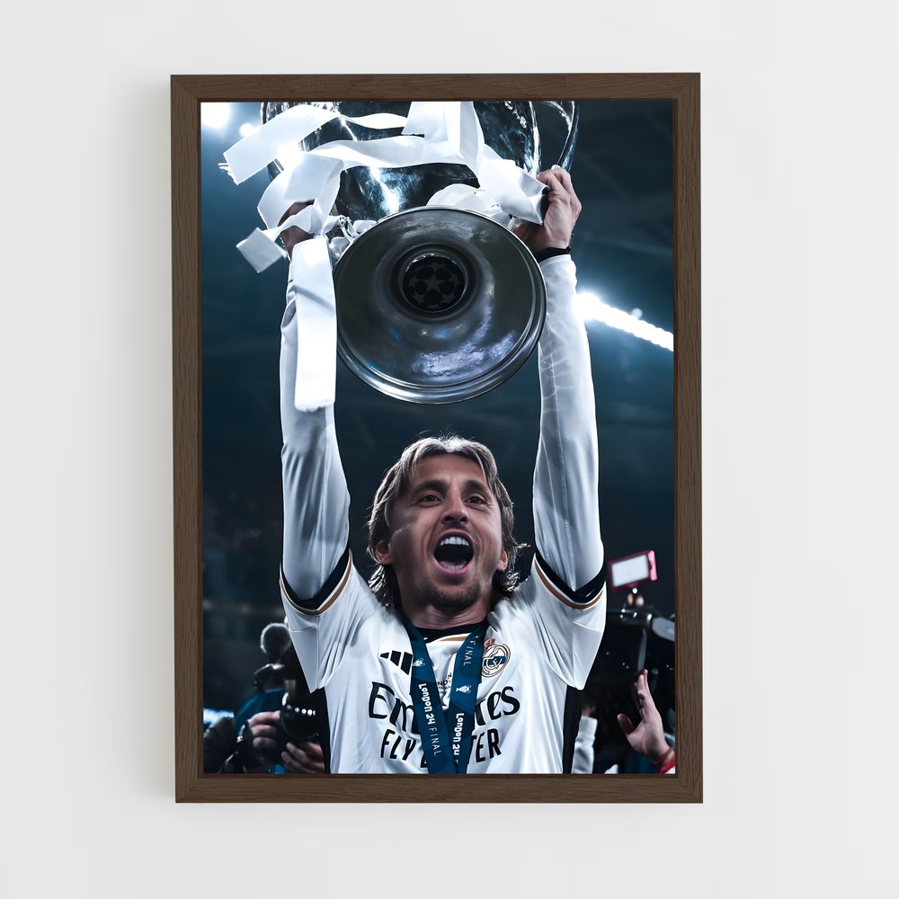 Poster Luka modric immortalisée (vue 5)